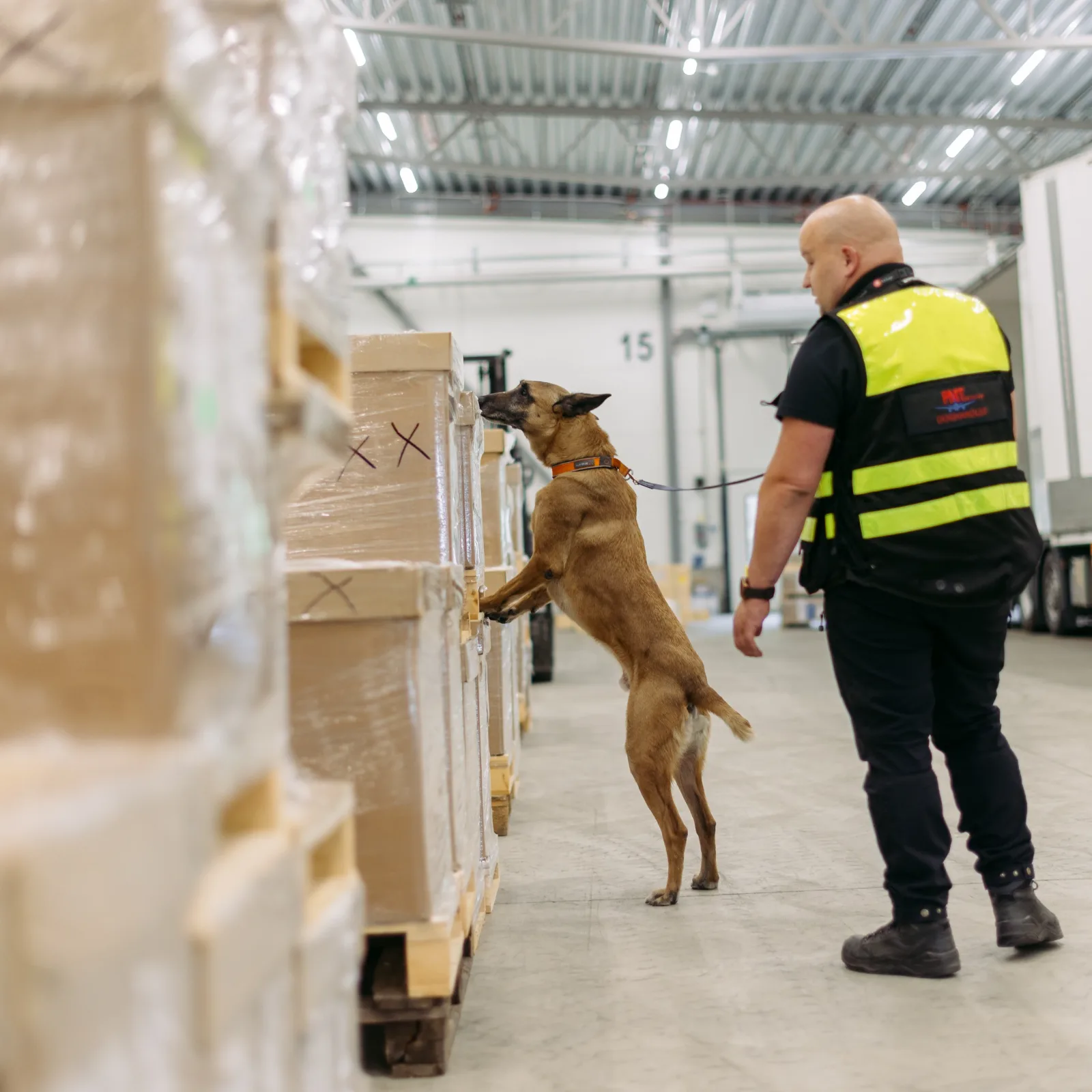 Bild: Säkerhetskontrollerad flyggodshantering